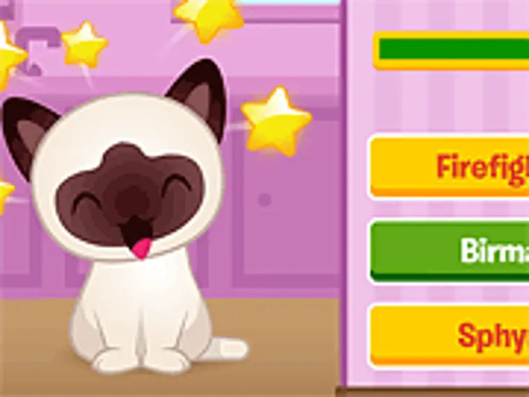 kitty quiz