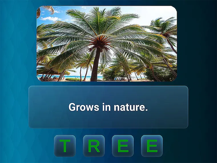 puzzle phrase