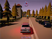 Police Patrol