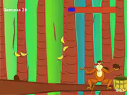 Catch De Coconut