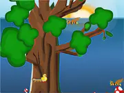 Save the Bird