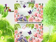 Spring Differences Flash