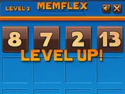 Memflex