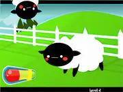 Sheepy