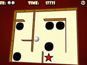 Ball in a Labyrinth