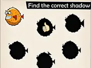 Shadow Match