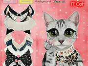 IT Cat