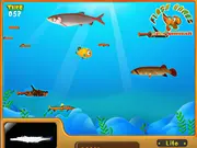 The Trial of Fish