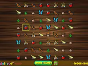 Insect Crush