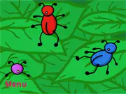 Beetle Beat