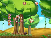 Curl Adventure