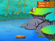 Jungle Jump Flash