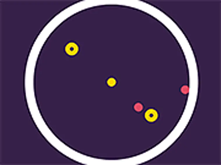 Rotating Disks