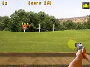 Pistol Training