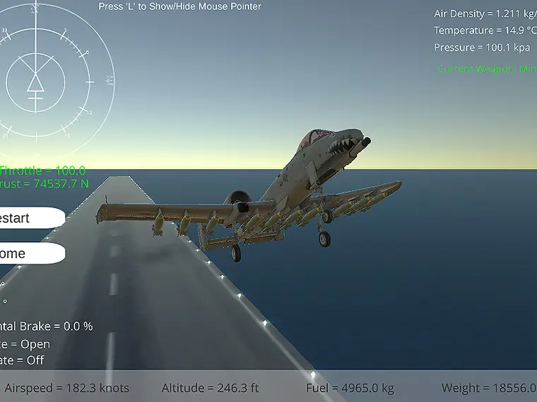 Fighter Aircraft Pilot