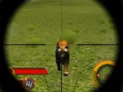 Wildlife Hunters Fury