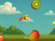 Neuro Fly Brainrot