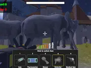 Zoo Anomaly Simulation