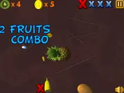 Fruit Slasher 3D