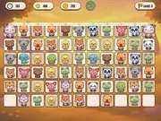 Paw Friends Onet