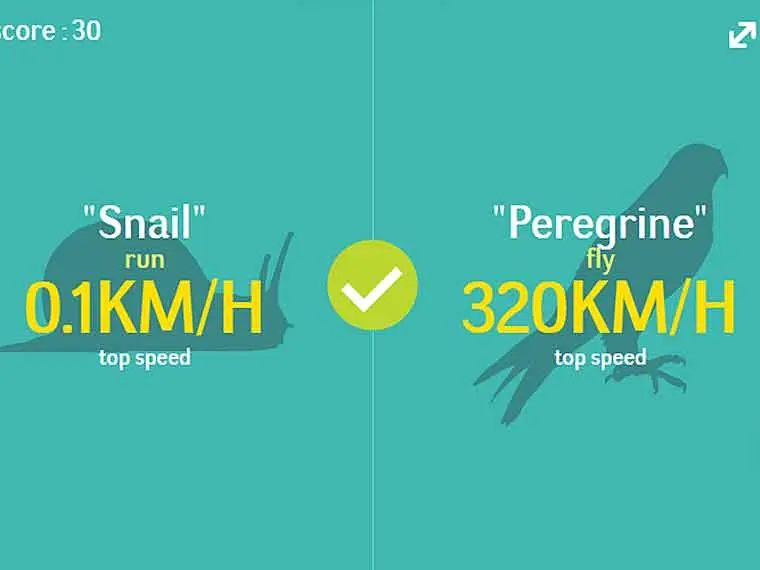 Faster Or Slower