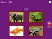 Guess The Pet: World Edition