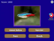 Guess The Pet: World Edition