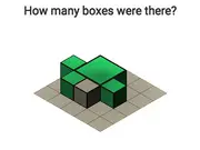 Try To Count The Boxes Brain Training