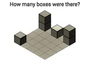 Try To Count The Boxes Brain Training