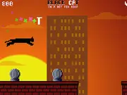 Black Cat on a Hot Tin Roof