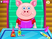 Cute Pig In Hospital
