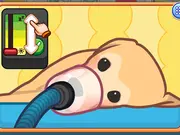 Sara Vet Life Ep9: Goldie