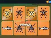 Match Pairs Memory Challenge