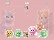 Merge Master: Kittens