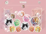 Merge Master: Kittens