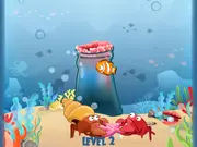 Fish N Jump