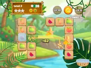 Mojicon Fruit Connect