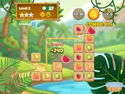 Mojicon Fruit Connect