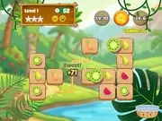 Mojicon Fruit Connect