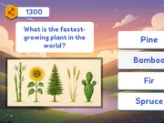 Word Search and Quiz