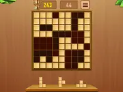 Sudoku Block Puzzle