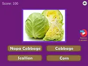 Guess the Vegetables Quiz