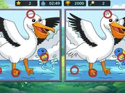Spot Differences Bird Adventure