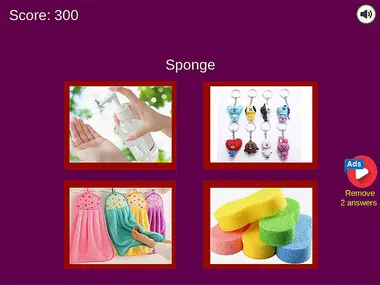 Guess the Everyday Items Quiz