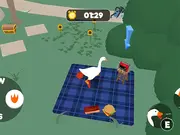 Crazy Goose Simulator
