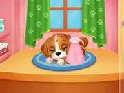 Lost Puppy Rescue and Care