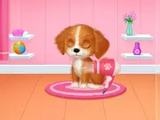 Lost Puppy Rescue and Care