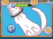 Sara Vet Life Ep11: Ferret