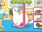 Sara Vet Life Ep11: Ferret