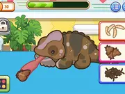 Sara Vet Life Ep12: Chameleon